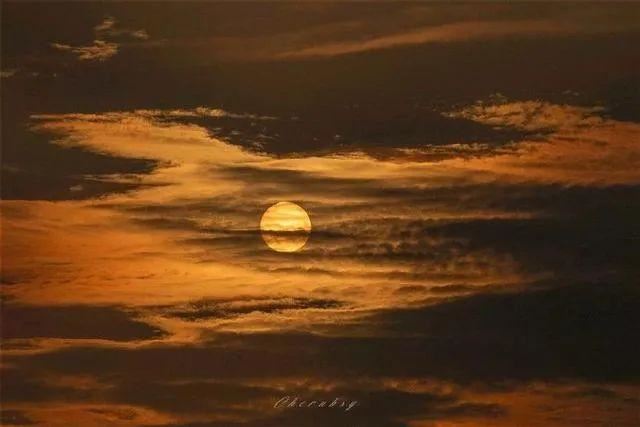 特别适合你的宝藏句子！