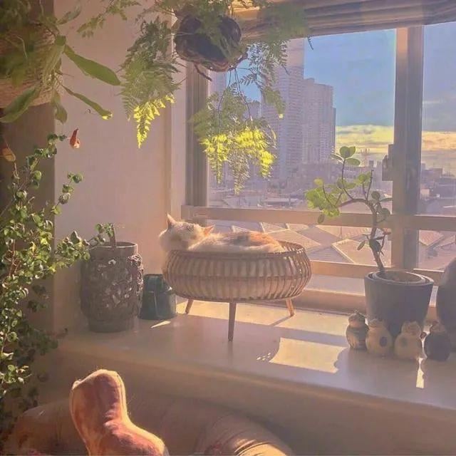 伤感令人想哭的爱情句子！