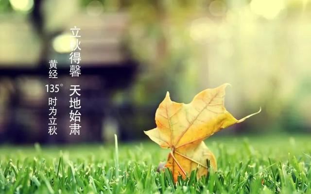 立秋节气祝福语图片，祝你立秋快乐！