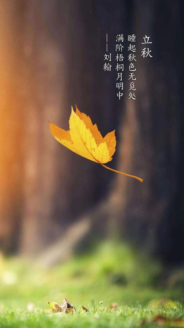 立秋发朋友圈的祝福语！