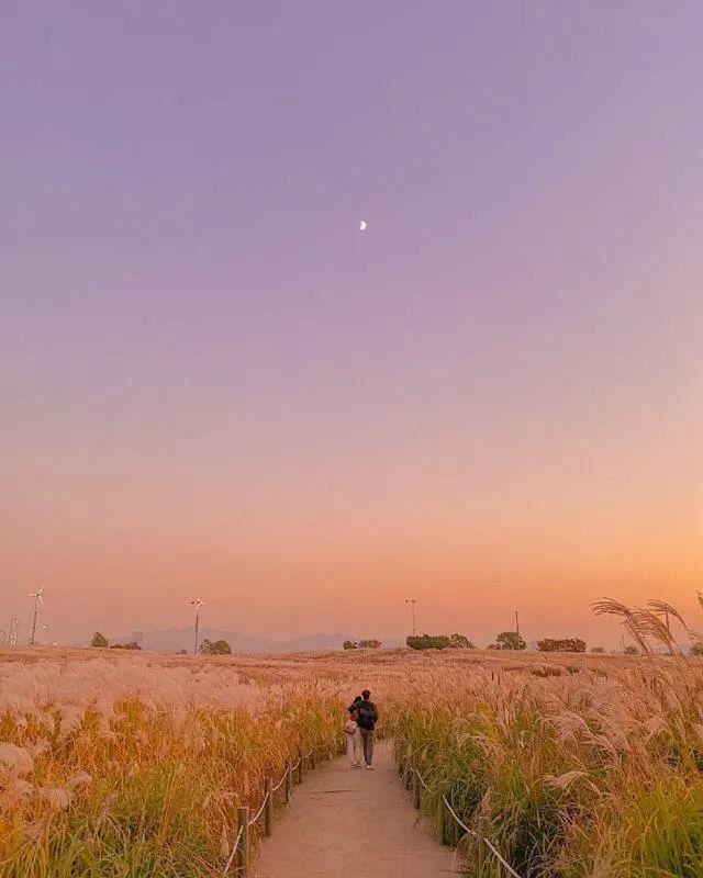 适合8.7立秋发的朋友圈！