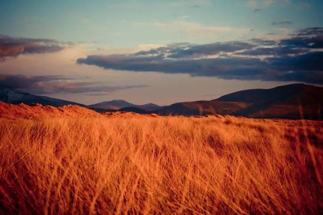 适合8.7立秋发的朋友圈！