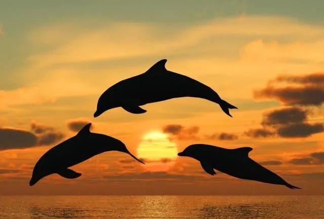 微信拍一拍后缀搞笑文案！（附设置方法）