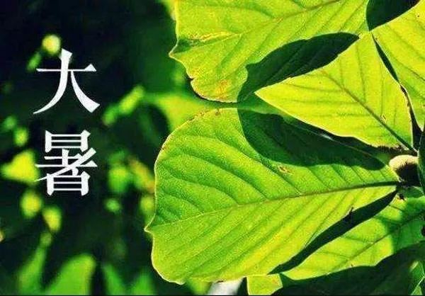 大暑朋友圈文案，大暑节气祝福语！