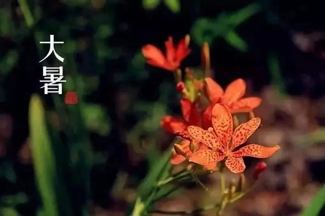 大暑朋友圈文案，大暑节气祝福语！