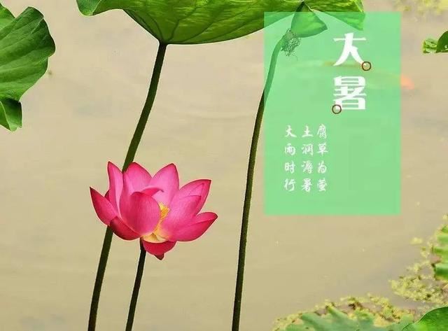 大暑朋友圈文案，大暑节气祝福语！