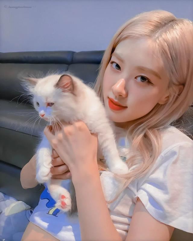 一些很不错的朋友圈句子！