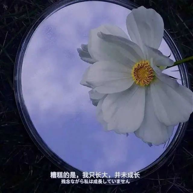 戳人心窝的伤感句子！