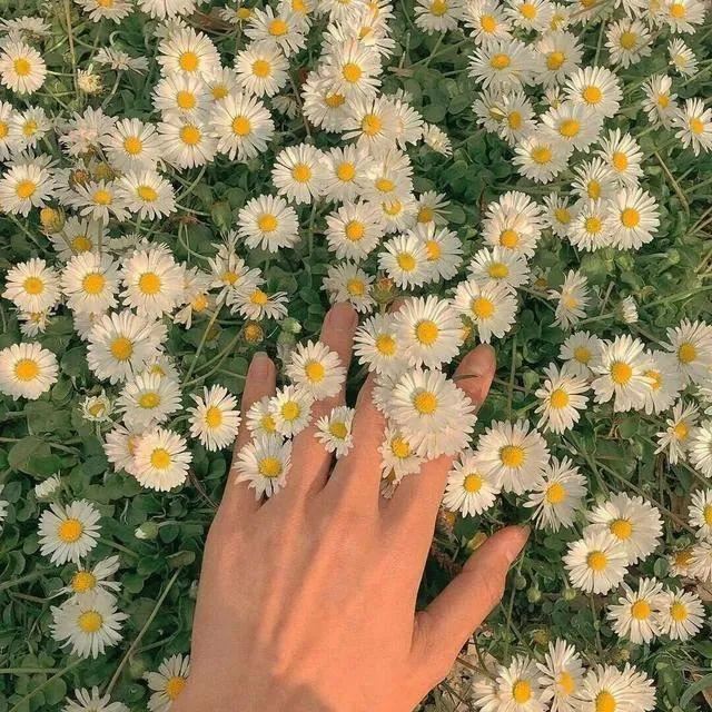 清爽的夏天文案！