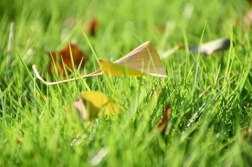 清爽的夏天文案！