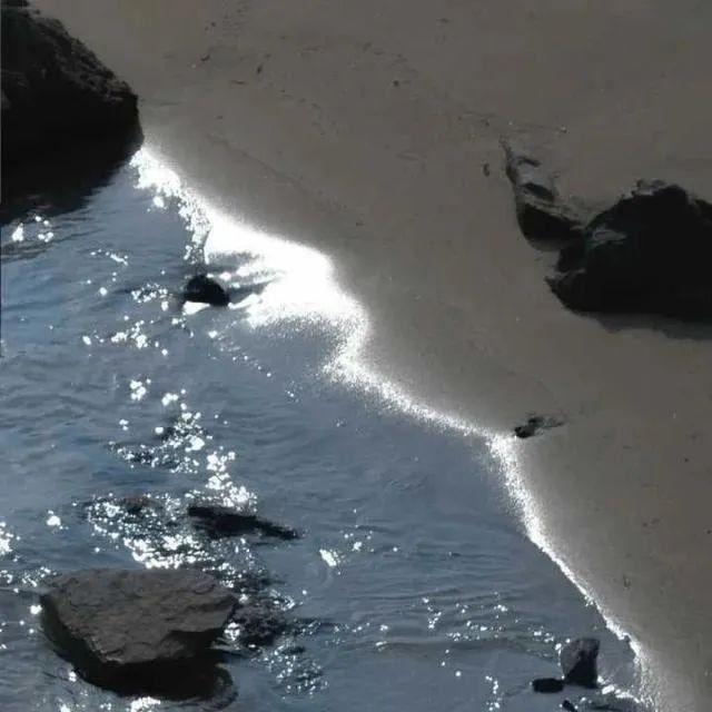 2020抖音最火网名，让人过目不忘的网名！