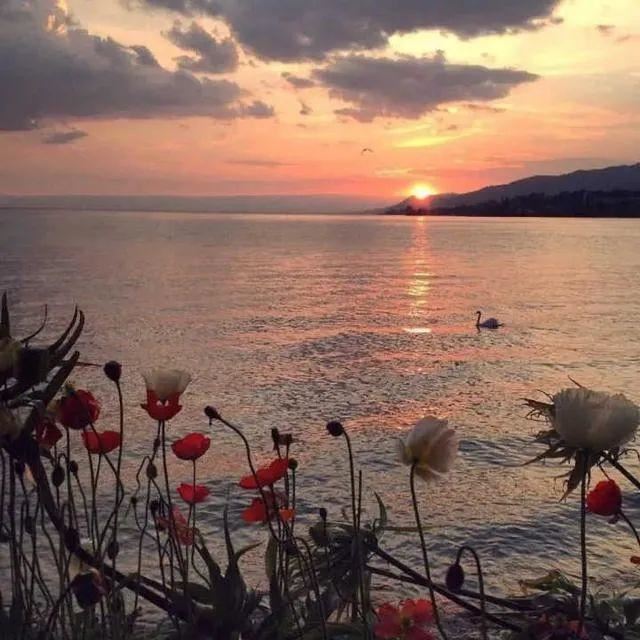 2020抖音最火网名，让人过目不忘的网名！