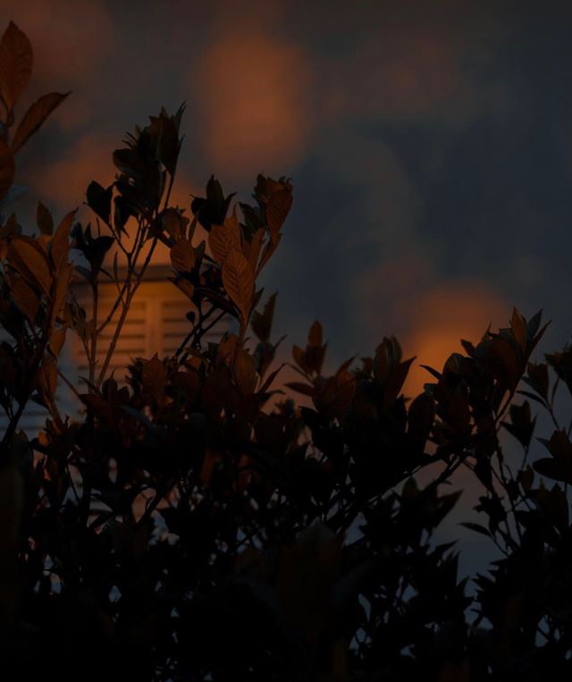 毕业必收藏的朋友圈文案！