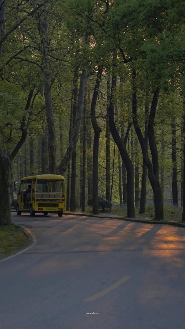 毕业必收藏的朋友圈文案！