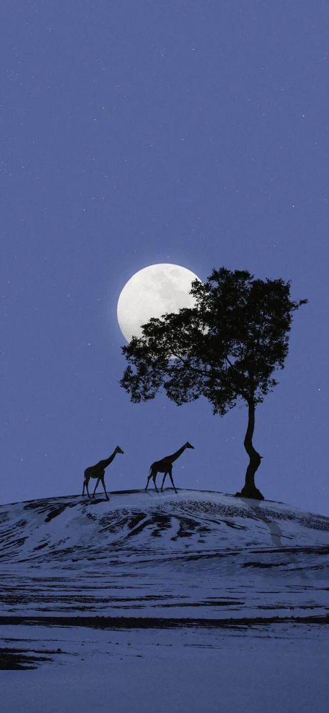 超nice的微信置顶文案～