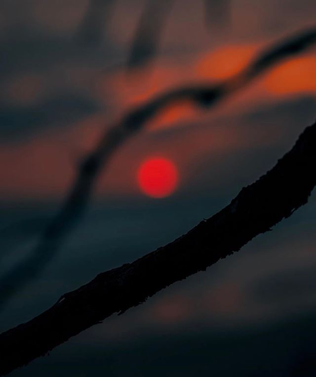 看似平淡却虐到肝疼的句子！