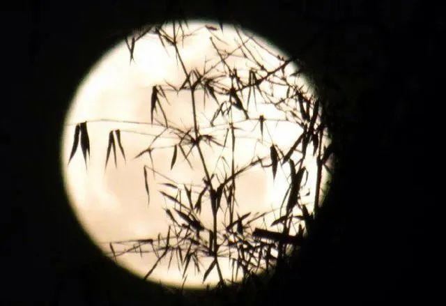 那些令人刻骨铭心的句子！