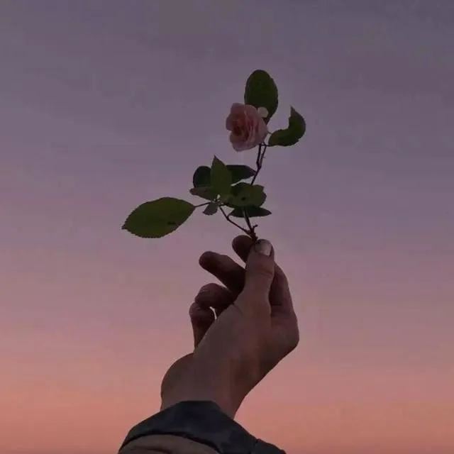 那些令人刻骨铭心的句子！