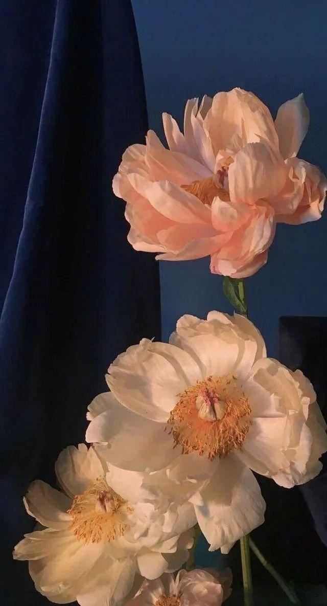 那些令人刻骨铭心的句子！