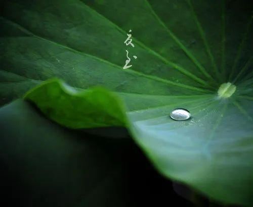 6.21父亲节快乐！夏至快乐！