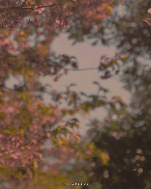 人生最现实的句子，现实又很扎心的句子！