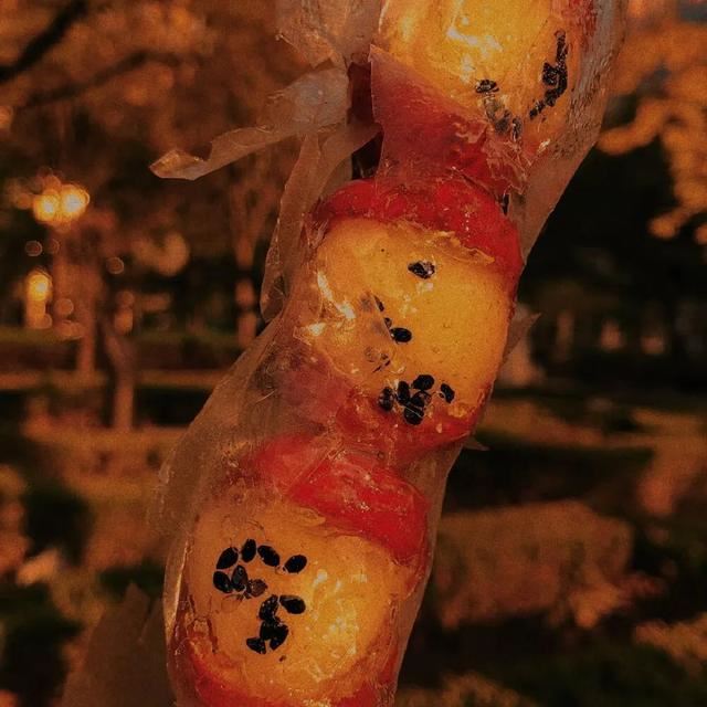 人生最现实的句子，现实又很扎心的句子！