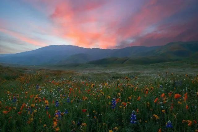 被点赞最高的20条说说，能让人评论的说说！