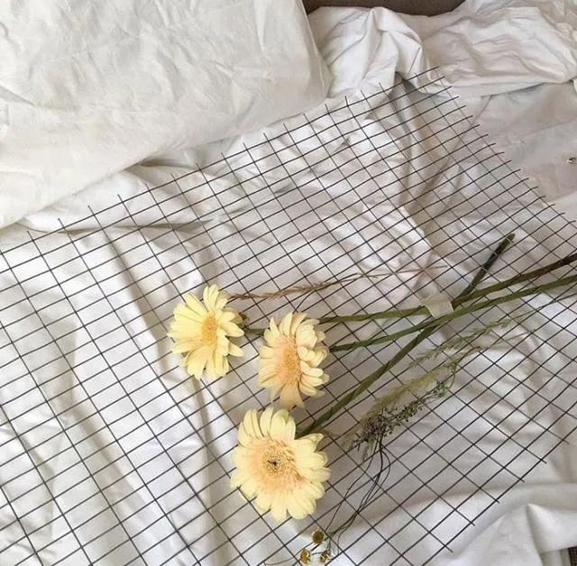 建议永久收藏的文案！