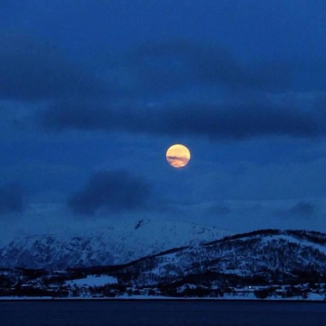 建议永久收藏的文案！