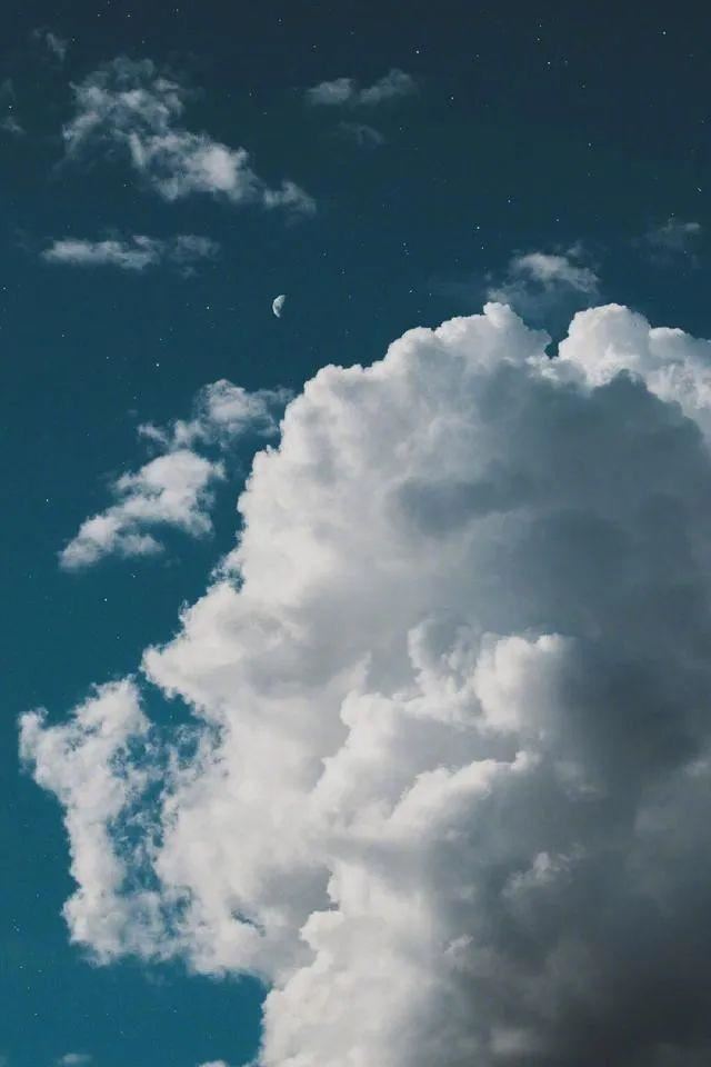 520单身狗说说，朋友圈520搞笑说说大全！