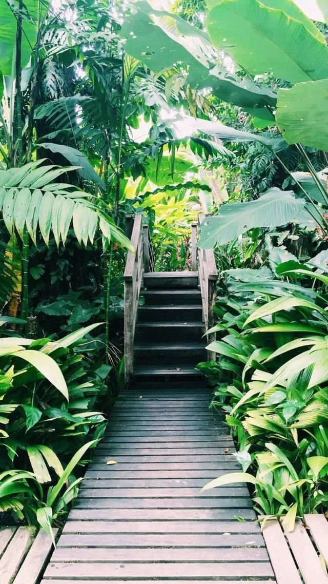 520单身狗说说，朋友圈520搞笑说说大全！