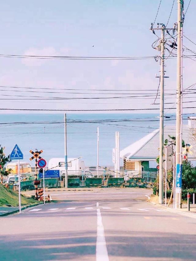 520单身狗说说，朋友圈520搞笑说说大全！