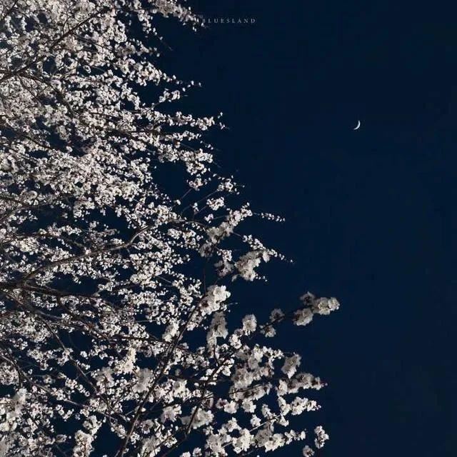 高逼格的朋友圈文案！