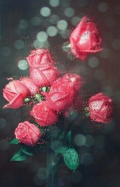 520情话文案，520发朋友圈的句子！