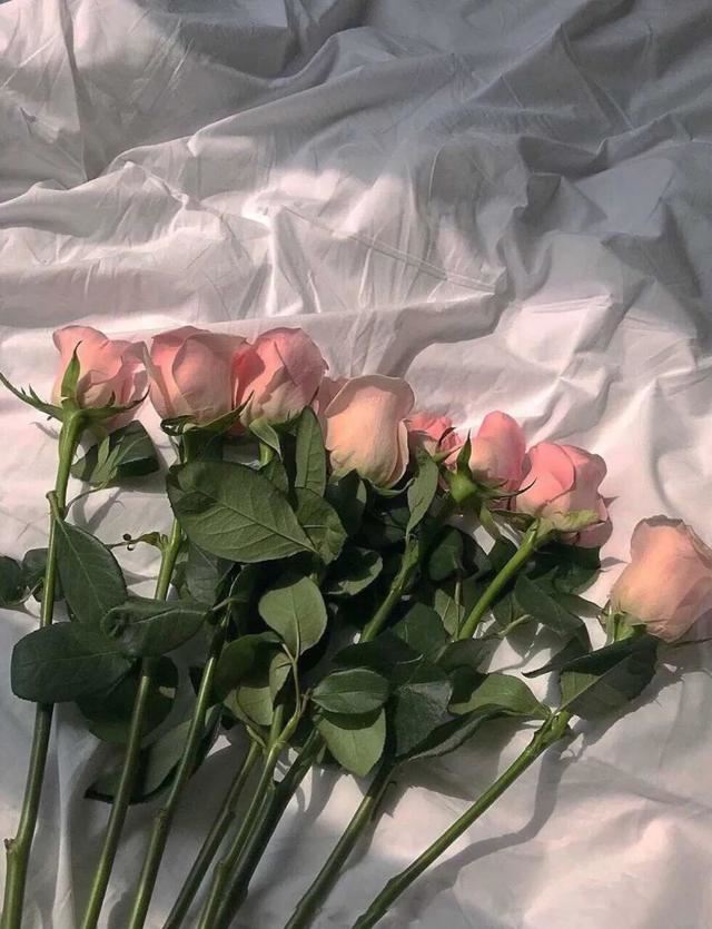 520情话文案，520发朋友圈的句子！