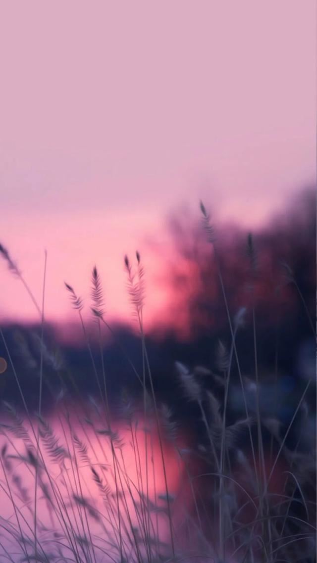 唯美惊艳的小句子！