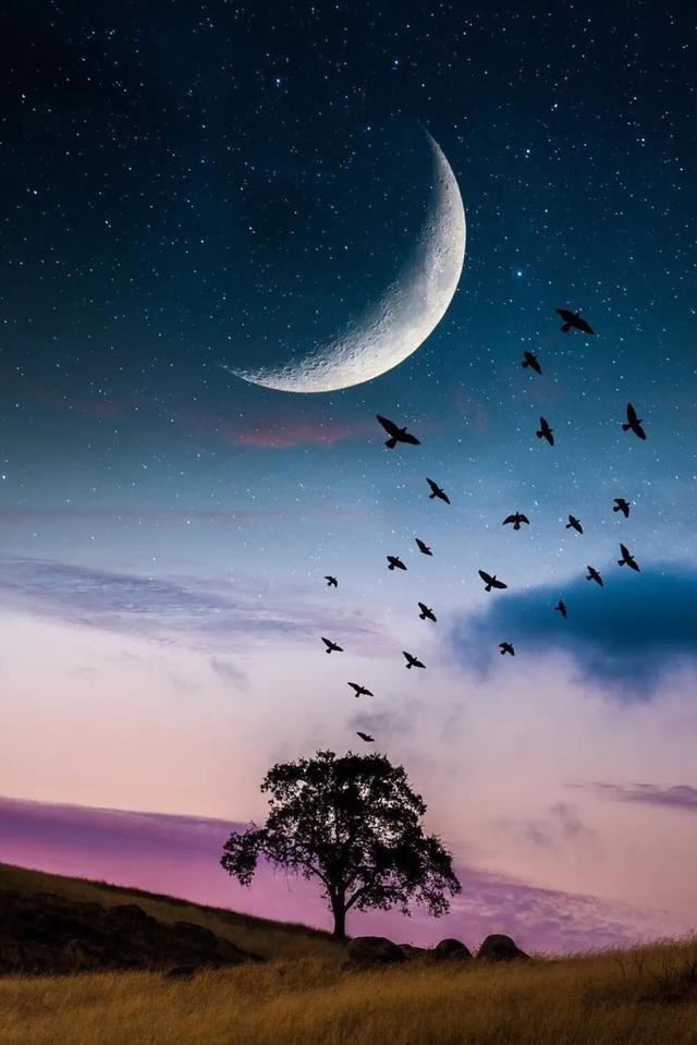 唯美惊艳的小句子！