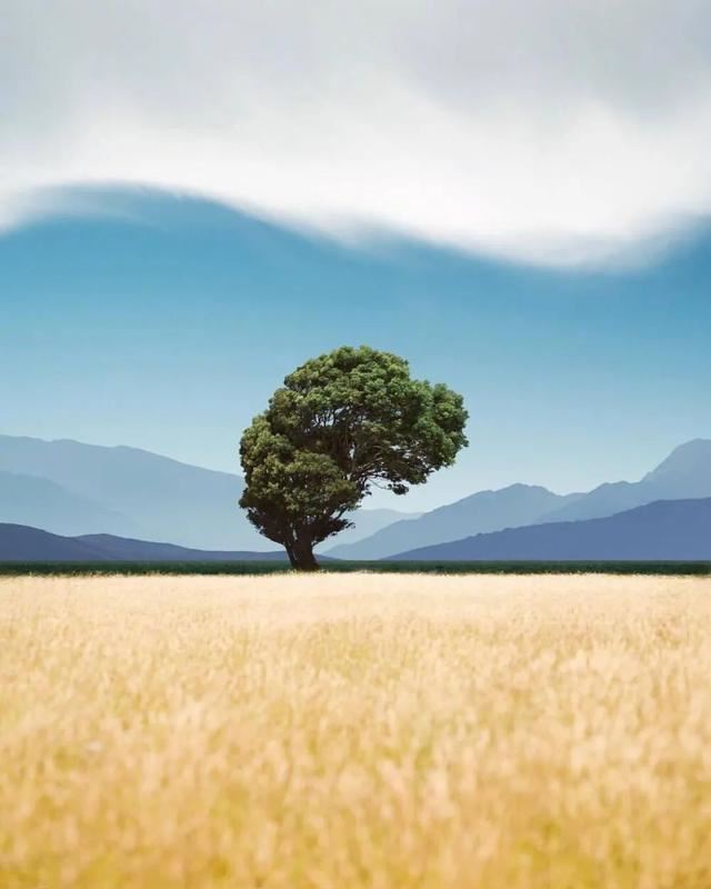 唯美惊艳的小句子！