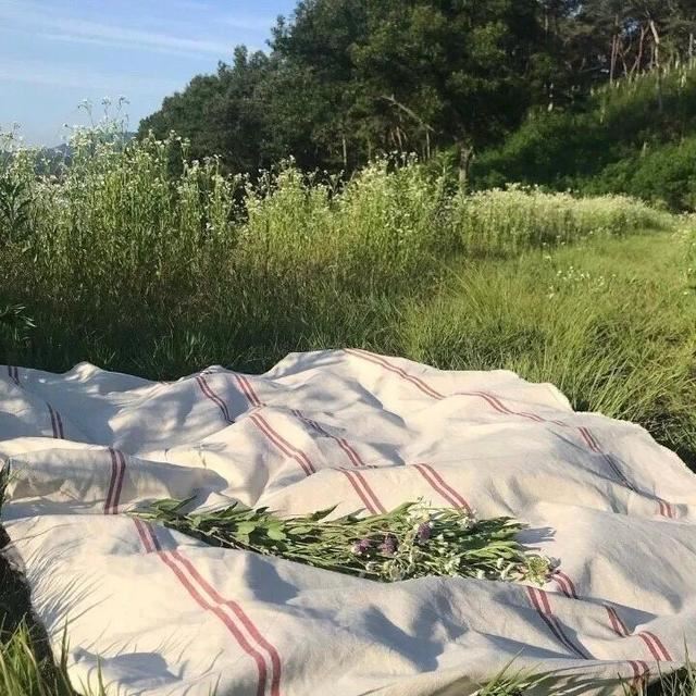 唯美惊艳的小句子！