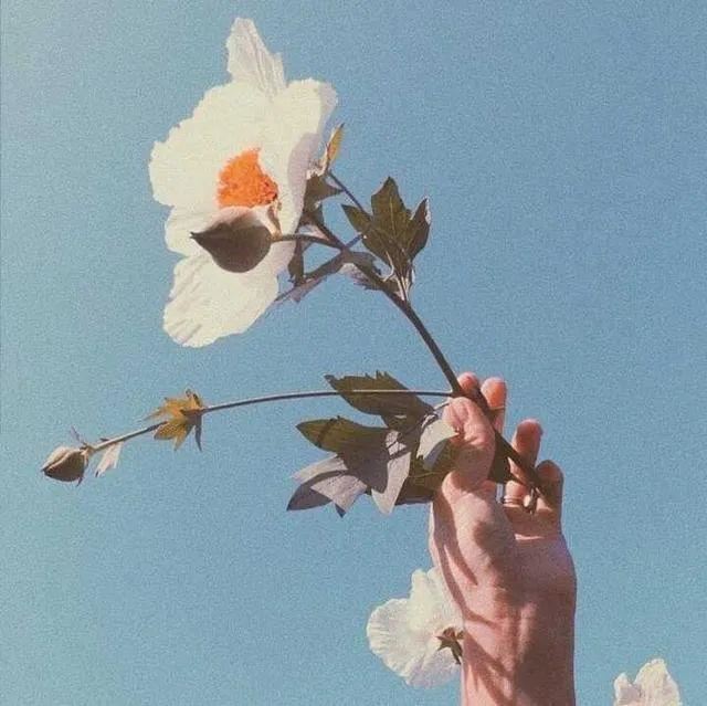 朋友圈发心情的说说！