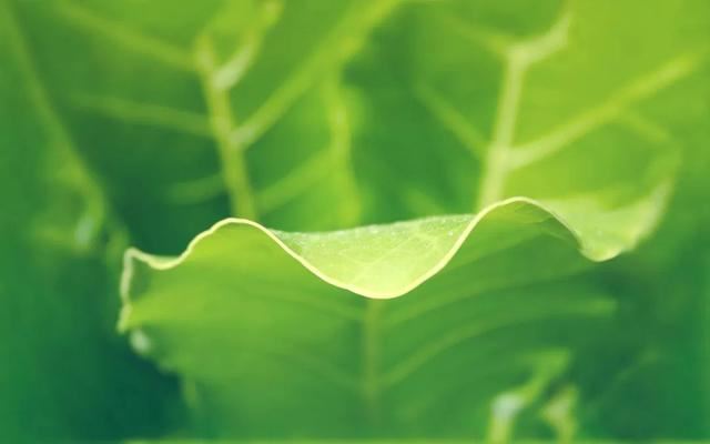 一句吸引人的文案！