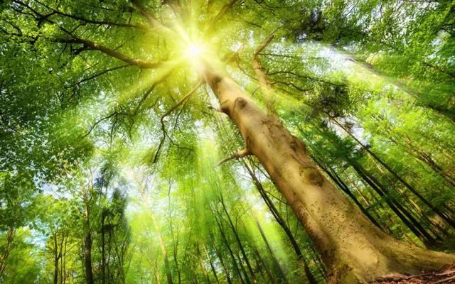 挑一句送给5月的自己！