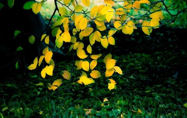 挑一句送给5月的自己！