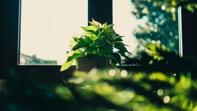 适合很久不发圈的短句！