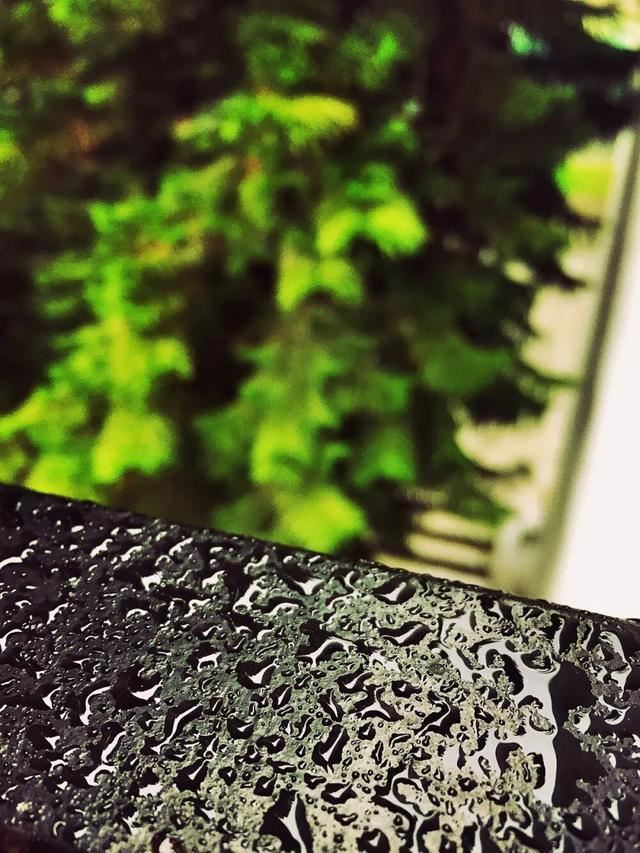 清明节文案，清明节发朋友圈的句子！