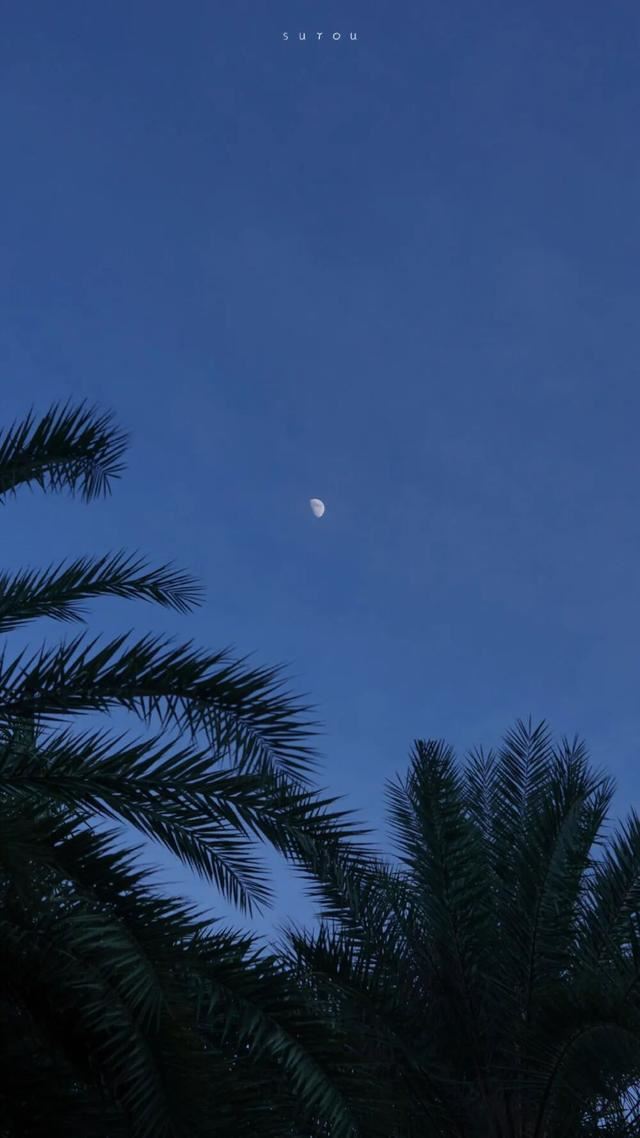 4月发朋友圈的句子！