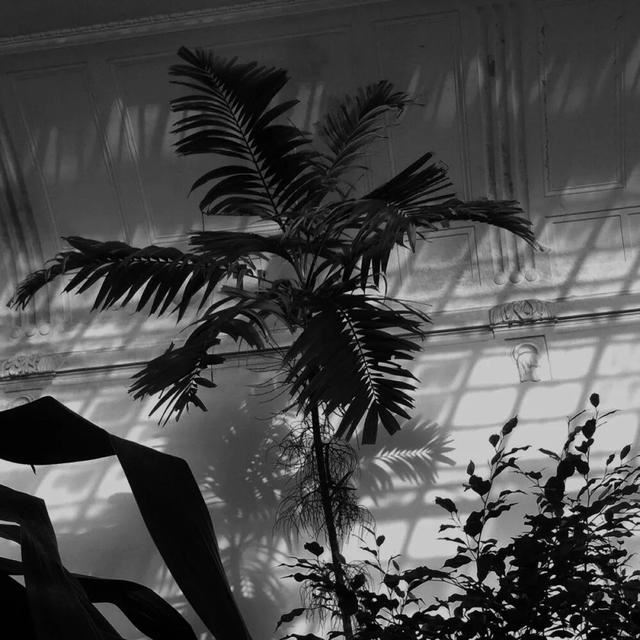 评论区的心动文案～