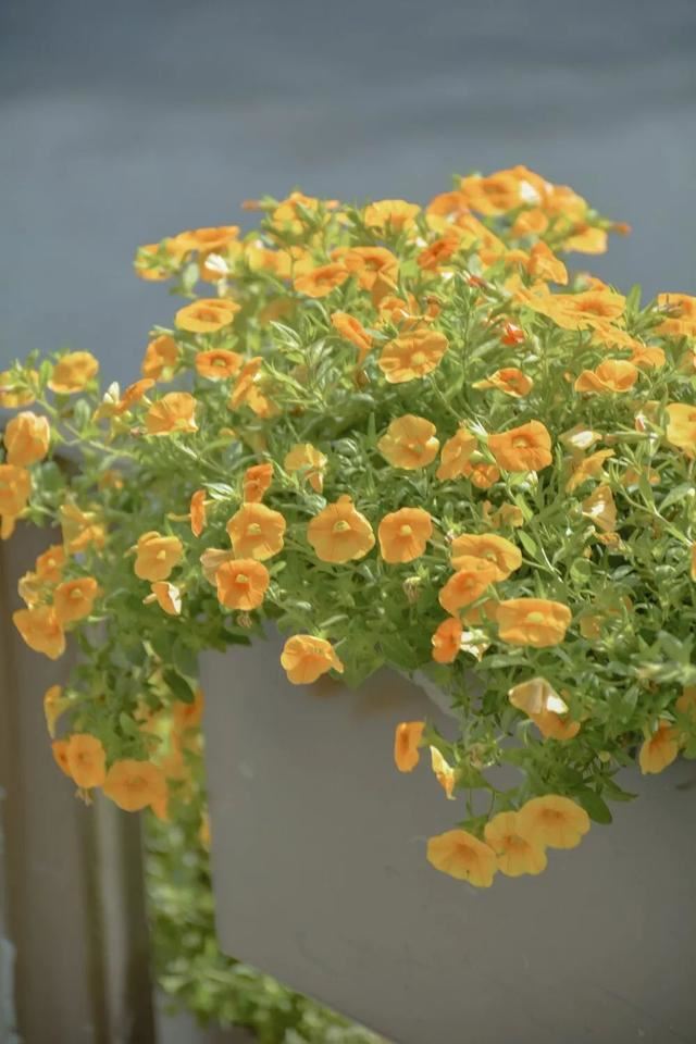 一些“禁忌女孩”里的戳心文案~