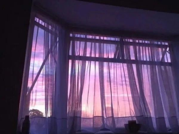 一眼就复制粘贴的语录~