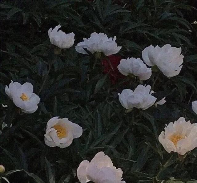 “很有少年感的文案句子”